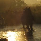 Photo Chitwan 2008